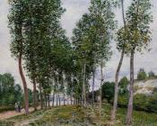 阿尔弗莱德西斯莱 - Lane of Poplars on the Banks of the Loing